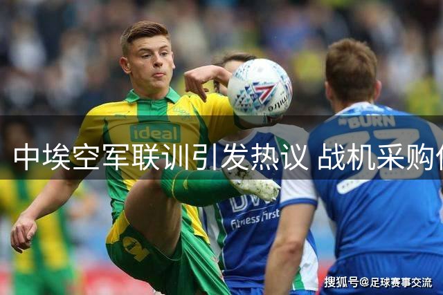 中埃空军联训引发热议 战机采购传闻虚实几何