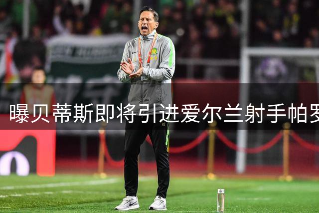 曝贝蒂斯即将引进爱尔兰射手帕罗特 转会费达两千万欧