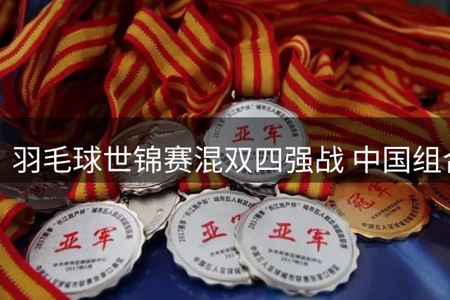 羽毛球世锦赛混双四强战 中国组合惜败法国无缘决赛